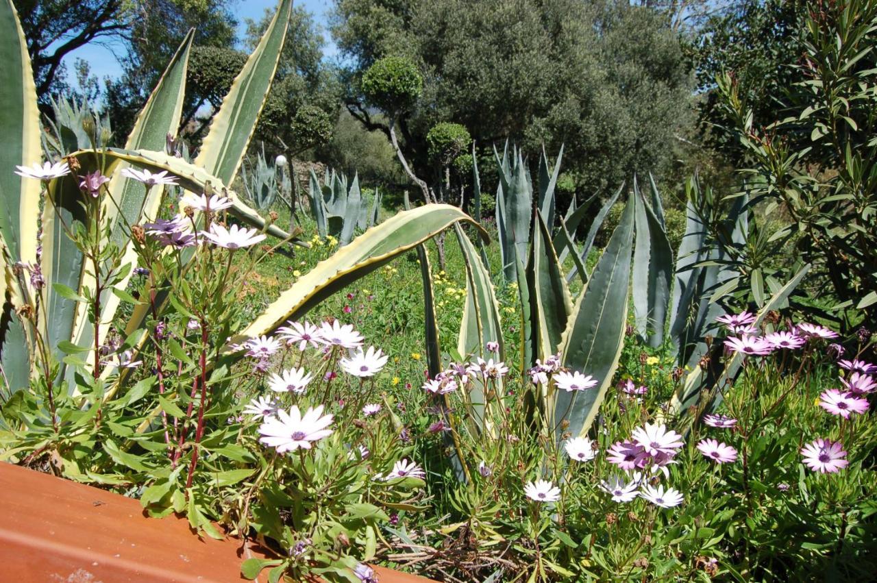Delle Torri Bed & Breakfast
